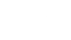 Evolution — logo dostawcy gier